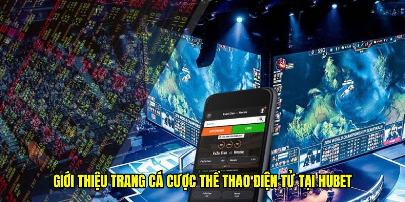 Giới thiệu trang cá cược thể thao điện tử tại Hubet